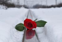 Love or Trading_A Heart-touching Love Story in Hindi